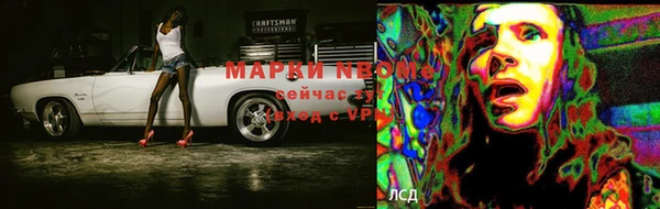 стафф Алексин