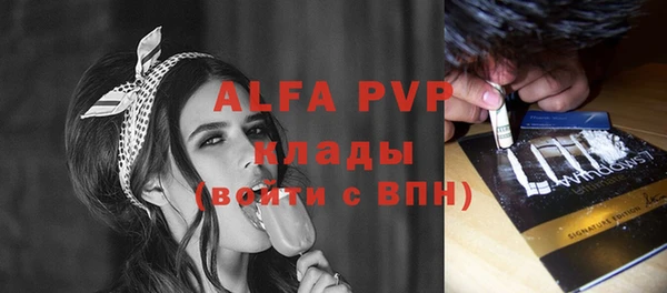 стафф Алексин