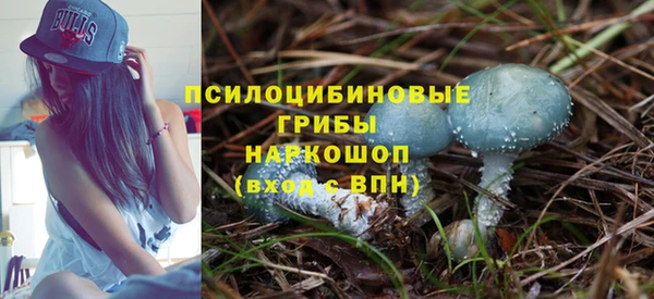 не бодяженный Алзамай