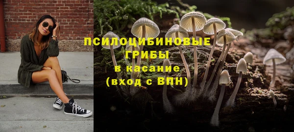 не бодяженный Алзамай