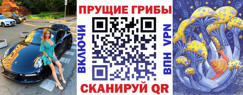 мориарти телеграм Вихоревка Галлюциногенные грибы MAGIC MUSHROOMS